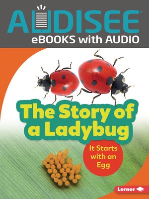 cover image of The Story of a Ladybug